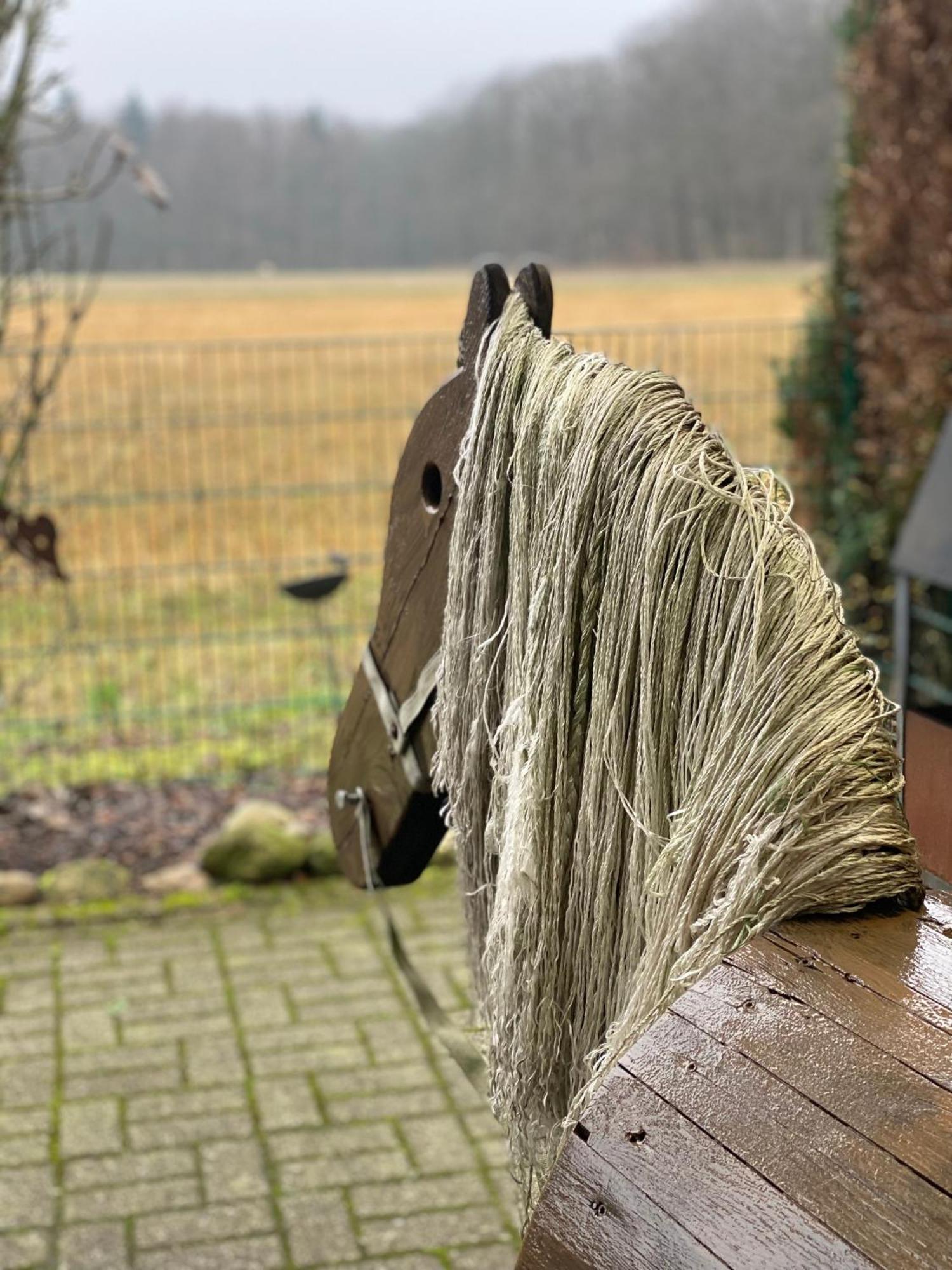 Schoene Auszeit Re14 Sögel Zewnętrze zdjęcie