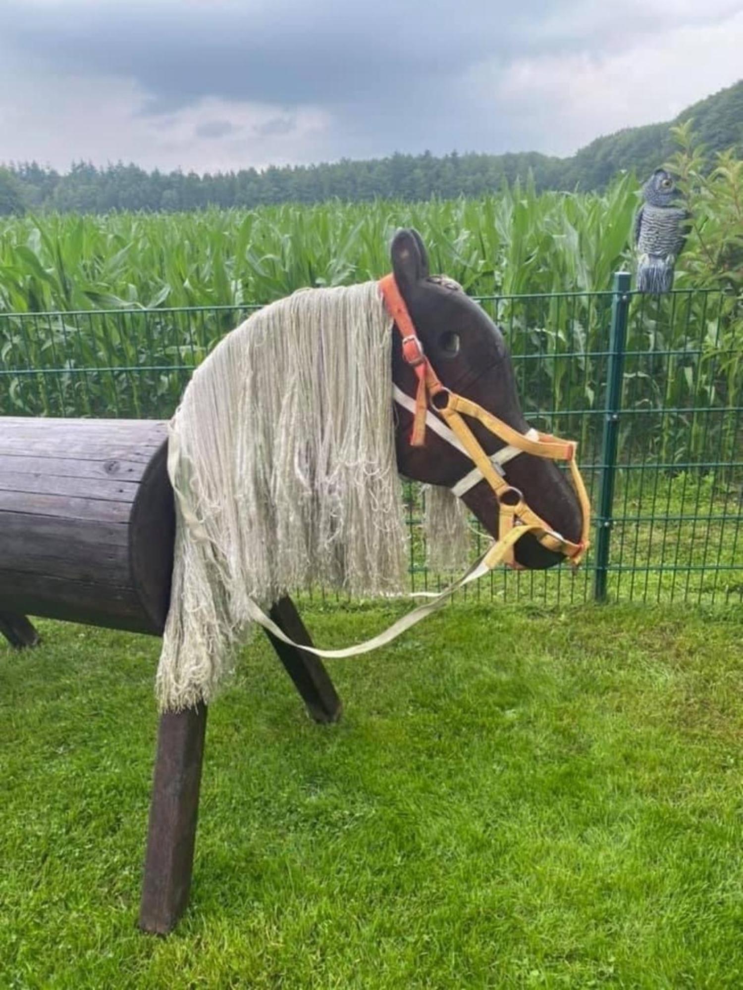 Schoene Auszeit Re14 Sögel Zewnętrze zdjęcie