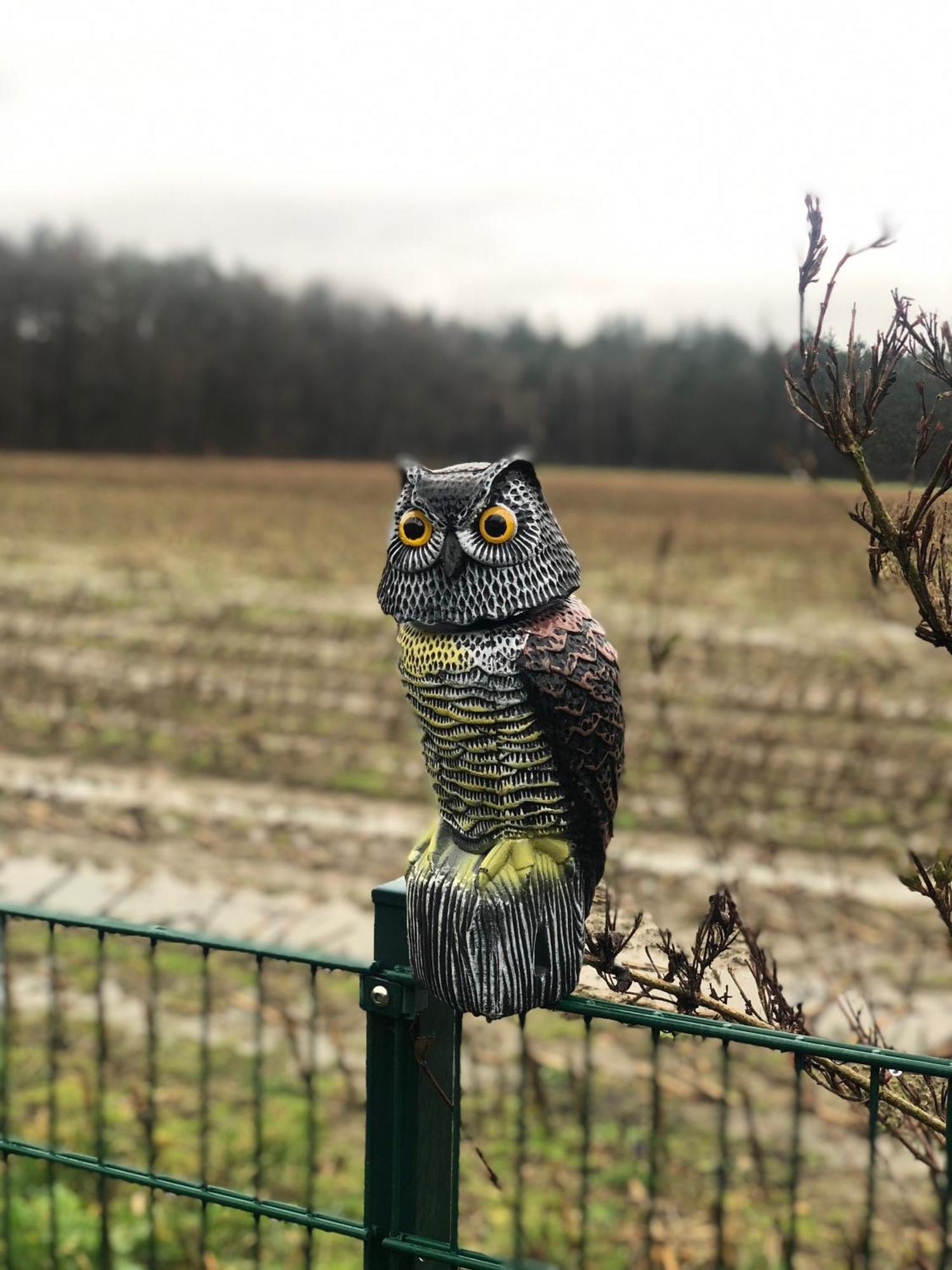 Schoene Auszeit Re14 Sögel Zewnętrze zdjęcie